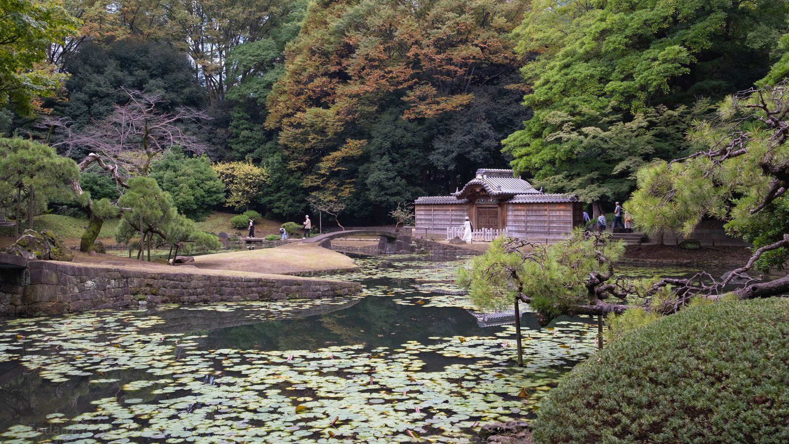 Koishikawa Korakuen Garden